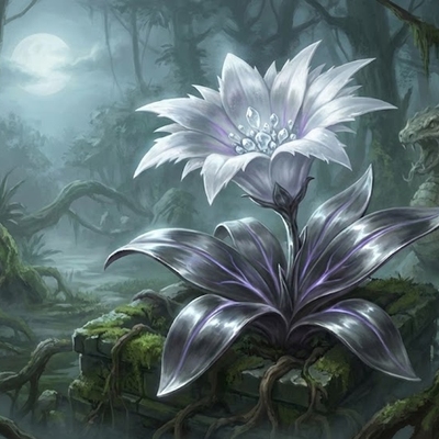 Silberorchidee