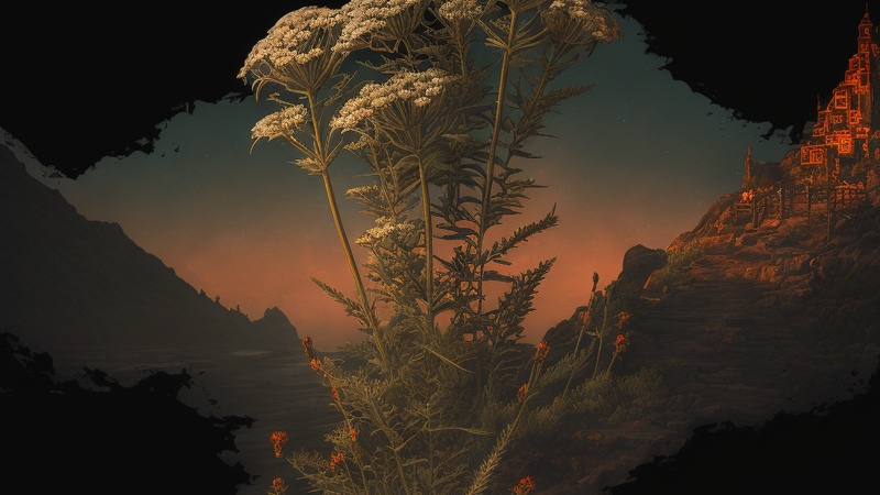Schafgarbe (Achillea millefolium)