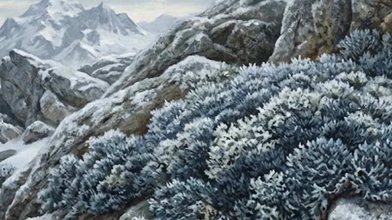 Frostflechte