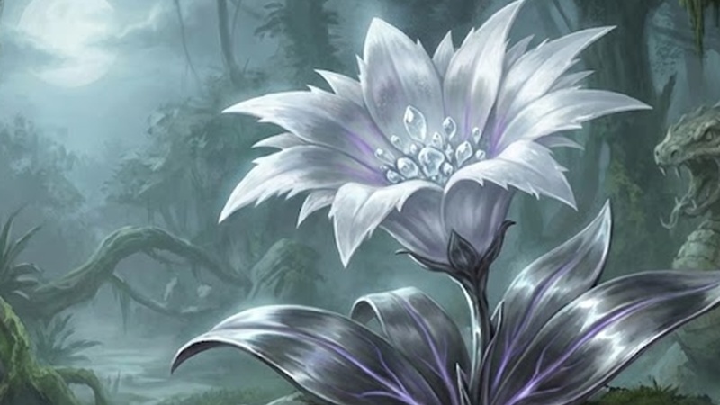 Silberorchidee