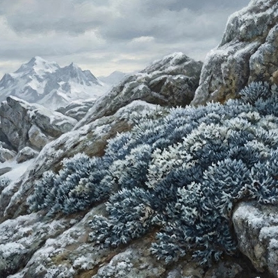 Frostflechte